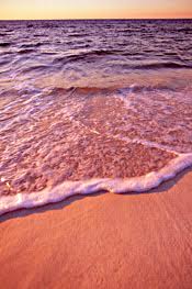 梯子协议PPTP、L2TP/IPsec和Open梯子对比及主要区别-机场节点加速器推荐