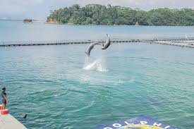 如何获得Express的Chrome扩展-机场节点加速器推荐