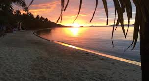 手机怎么使用梯子登录Instagram？-机场节点加速器推荐