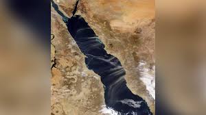 知乎推荐如何通过支付宝付款方式购买Vypr梯子-机场节点加速器推荐