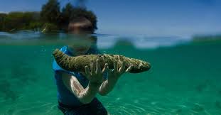 Express Review for :Best VPN for China-机场节点加速器推荐