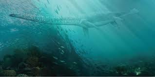 How to setup Express on iPhone in 5 minutes?-机场节点加速器推荐