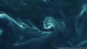 How to setup Express on Mac in 5 minutes?-机场节点加速器推荐